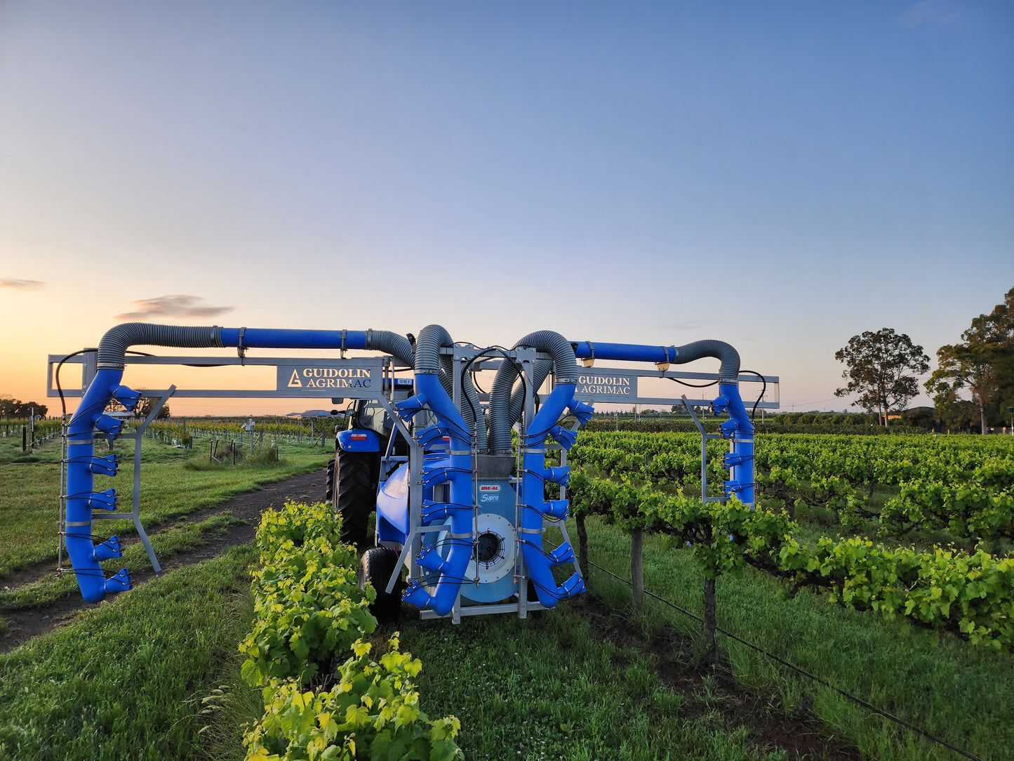 Ideal Vitistar 2 Row Vineyard Sprayer