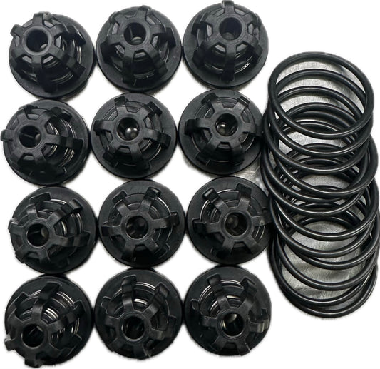 Goldacres / Udor Pump Valve kit Zeta260 RO250 6062D3