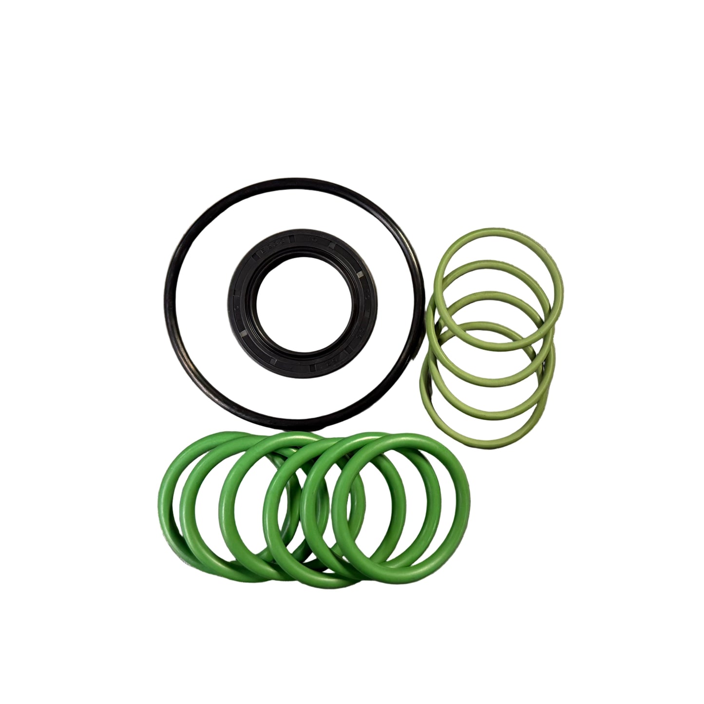 Bertolini Oring kit suit Poly 2073 Pump 639880973