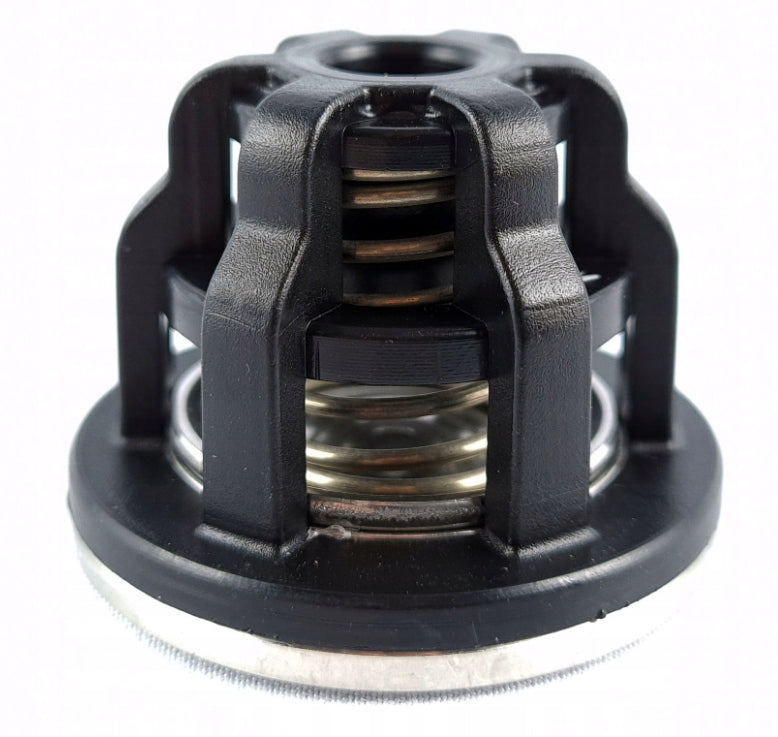 Goldacres / Udor Pump Valve 600677