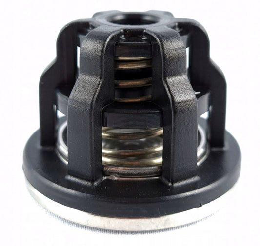 Goldacres / Udor Pump Valve 600677