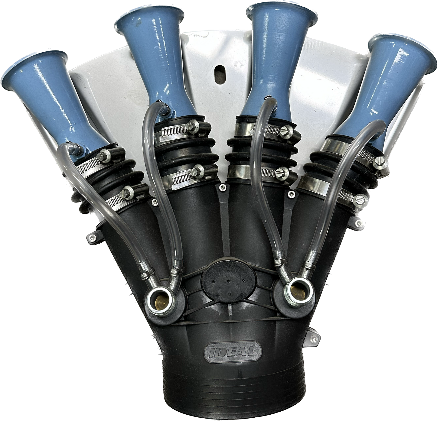Ideal Adjustable 4 Outlet Head