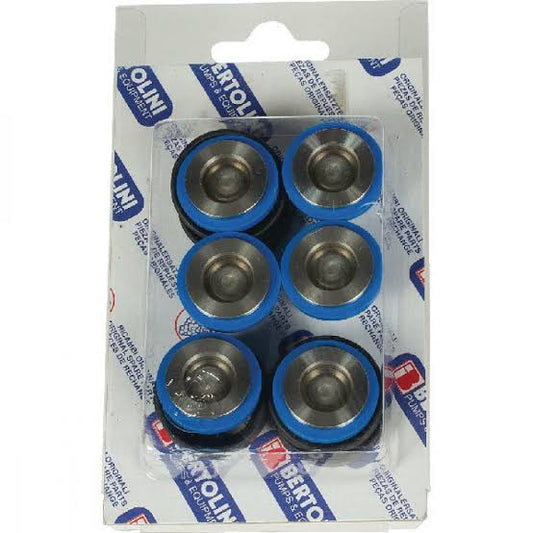 Bertolini Valve kit PA330 & PA430 039875973