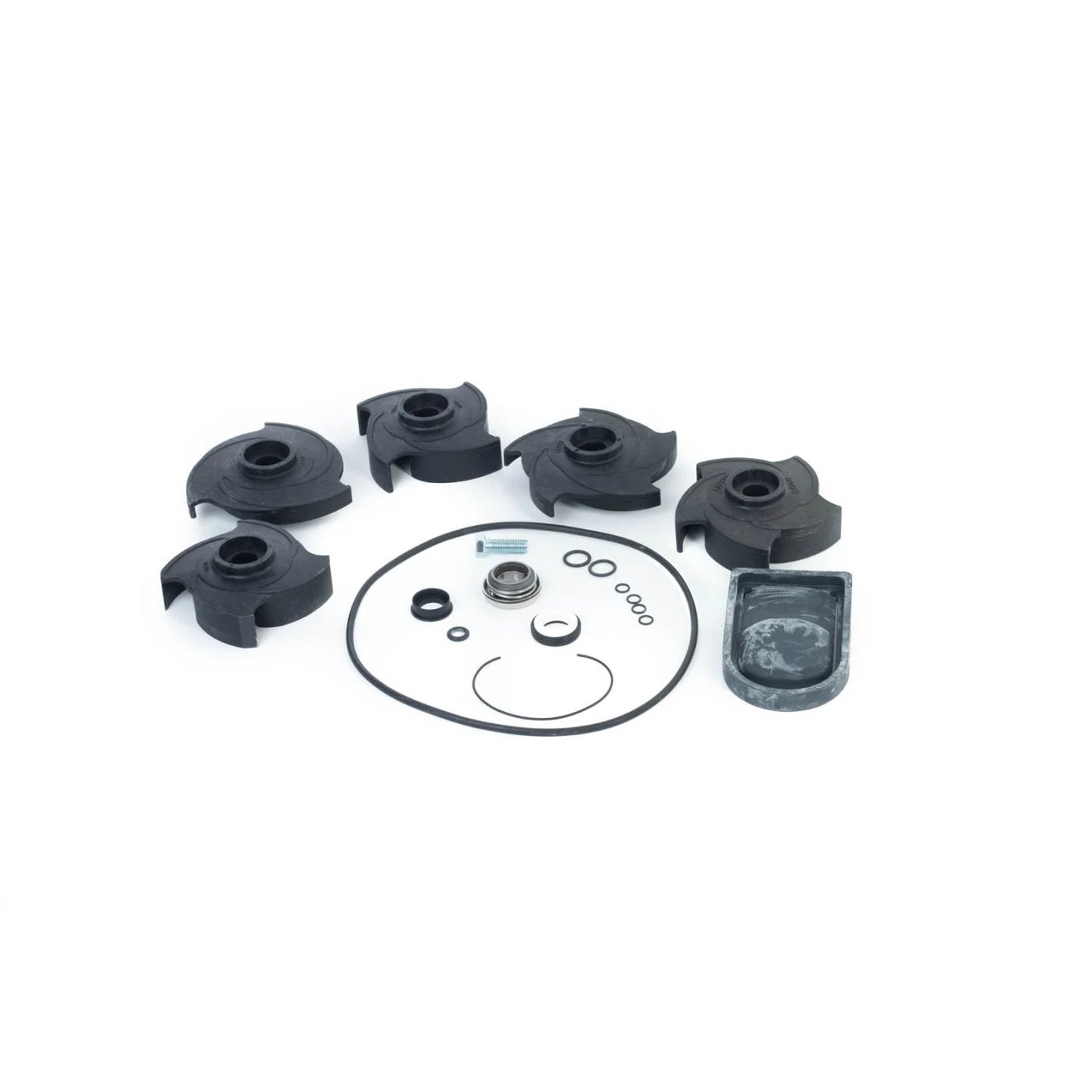 Banjo EPM 2" & 3" pump rebuild kit 12000A