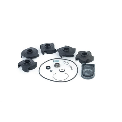 Banjo EPM 2" & 3" pump rebuild kit 12000A