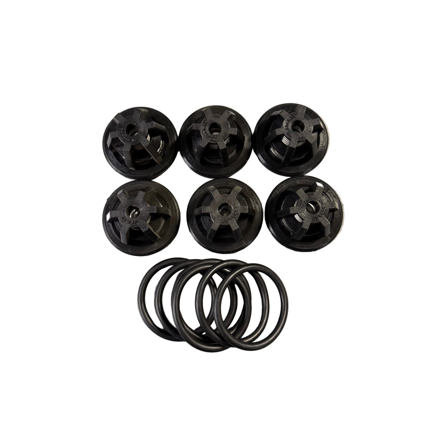 Bertolini Valve Kit suit Poly 2136 Diaphragm Pump 629805973