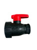 Arag 2 Way Ball Valve BSP 455
