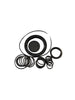 Bertolini Oring Kit PA530 VC/VM/VF 239880973