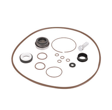 Banjo Viton Seal Kit 12999AV