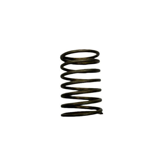 Catterin Valve Spring 887