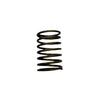 Catterin Valve Spring 887