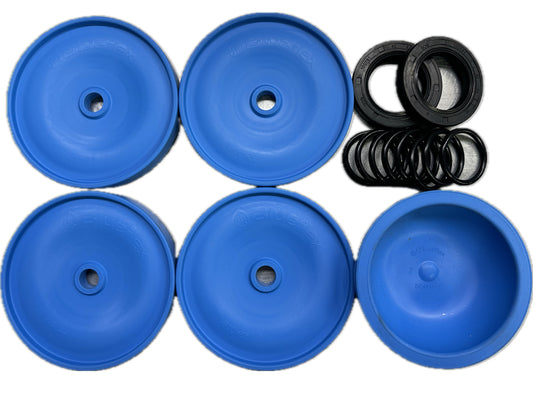 Annovi Reverberi Blueflex Kit Suit BHS170 & BHS200 Pump