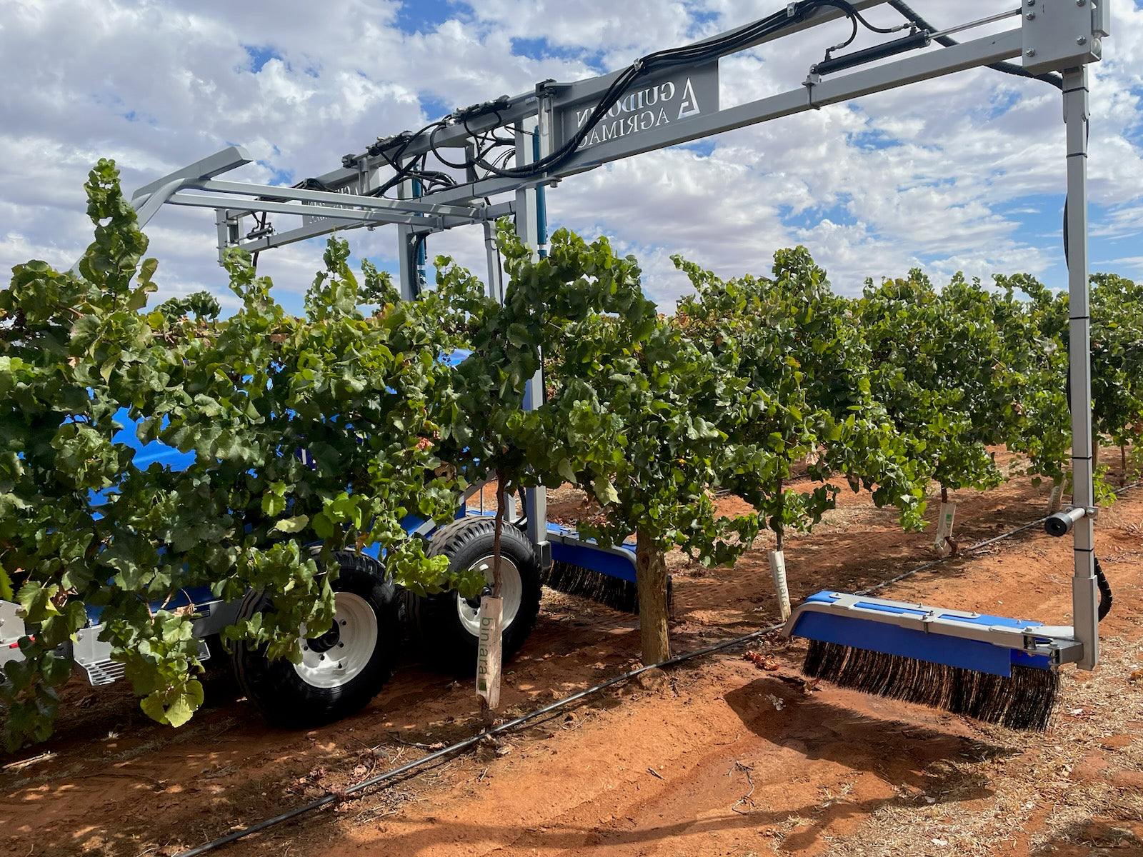 vineyard herbicide sprayer Ideal Grassmaster 2-3 Row Orchard/Vineyard Sprayer – Sprayer Warehouse Co