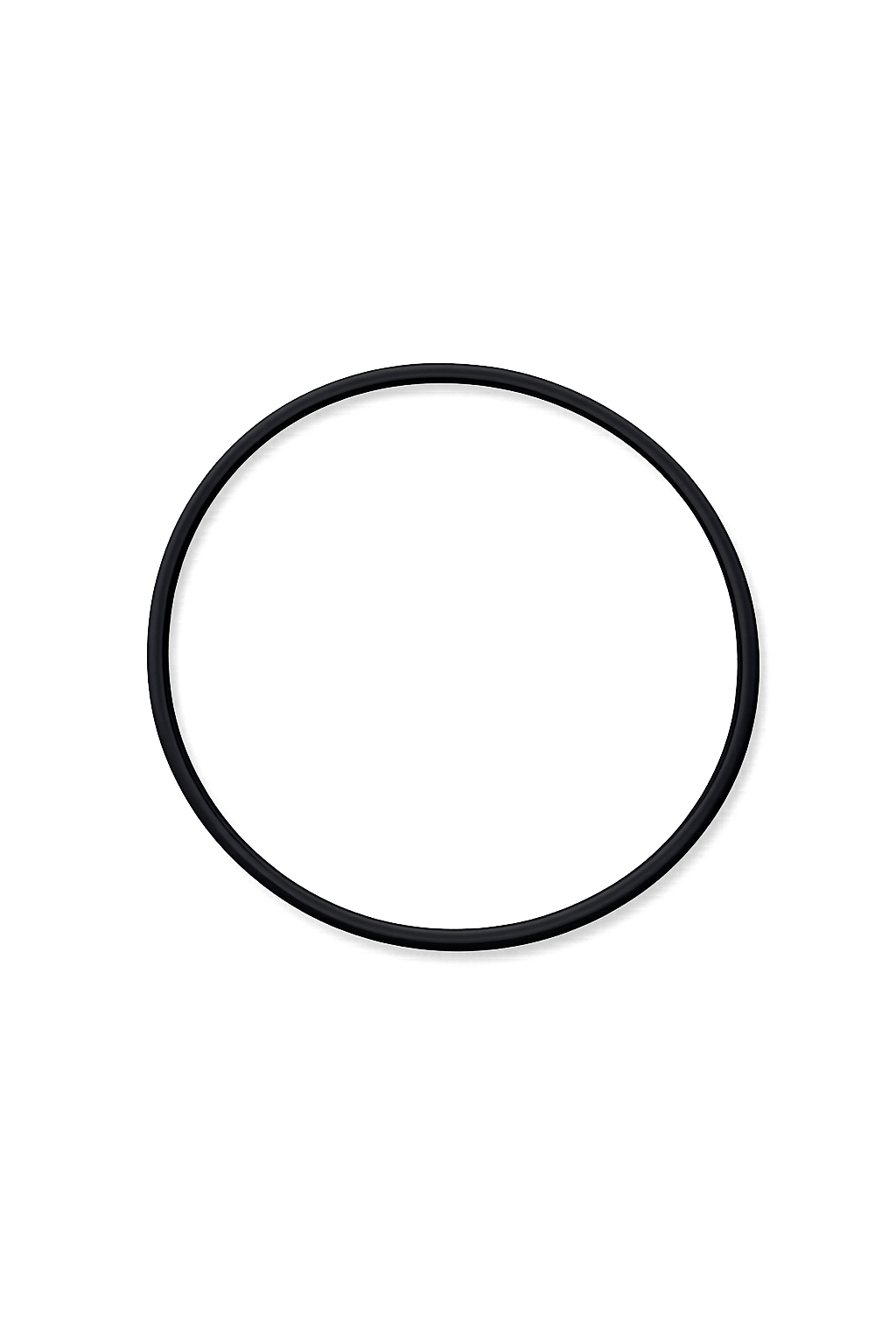 Arag Seal Ring for Hinged Lids