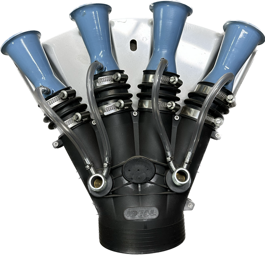 Ideal Adjustable 4 Outlet Head