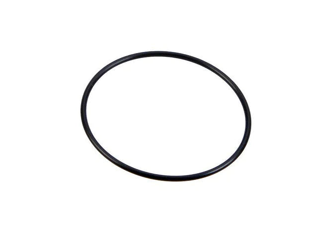 Arag 316 Suction Screen Filter Oring G11046
