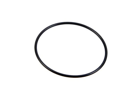 Arag 316 Suction Screen Filter Oring G11046